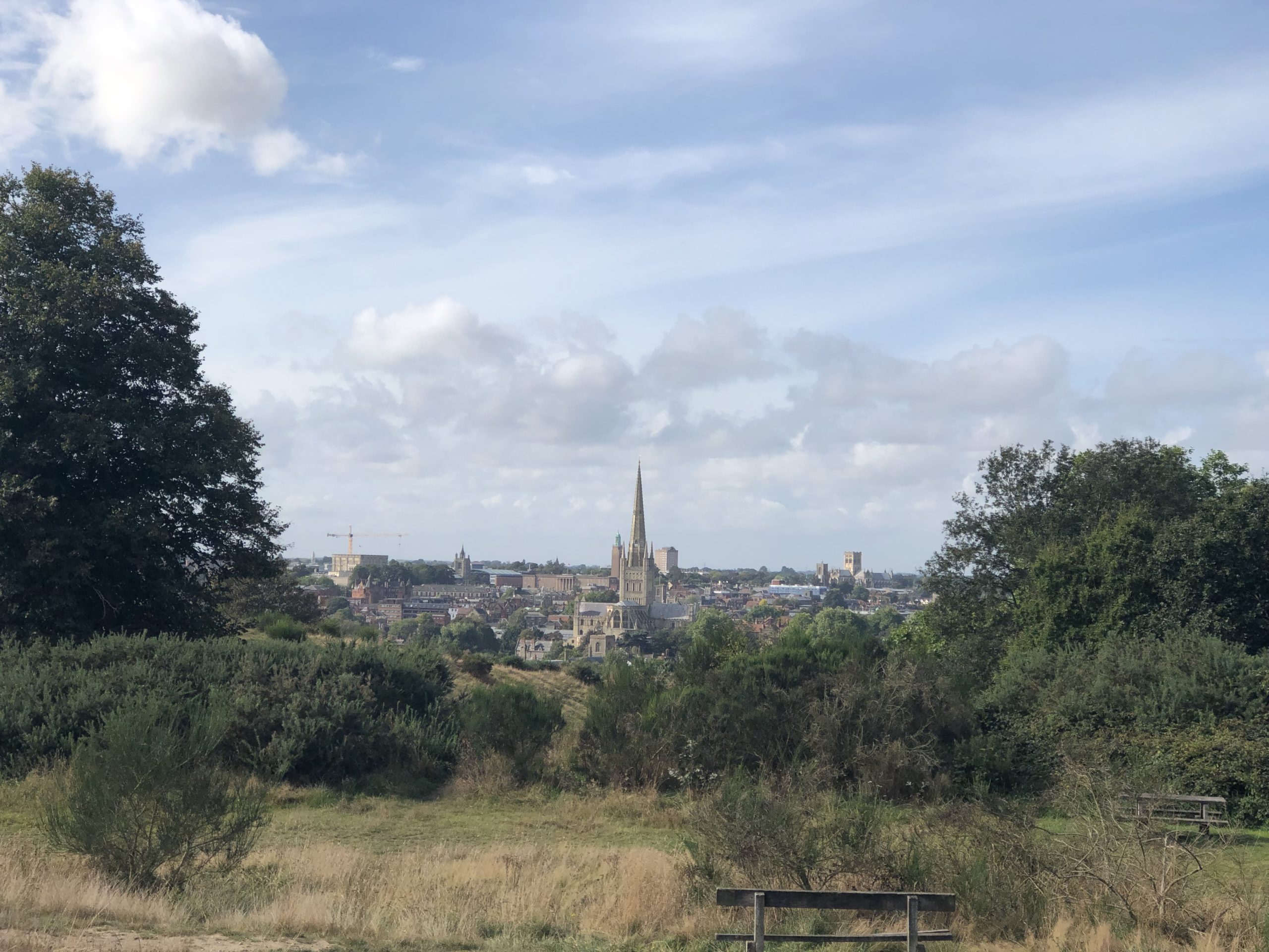 Norwich view